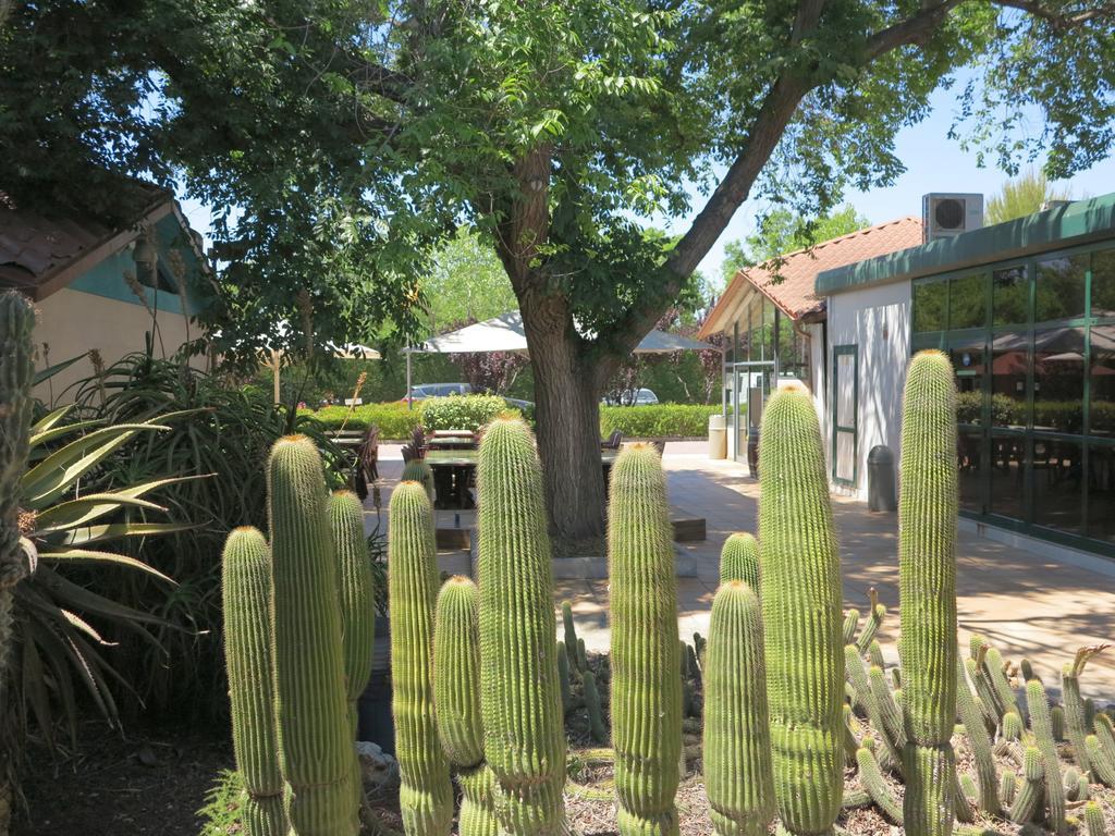 Camping La Pineda De Salou 호텔 외부 사진