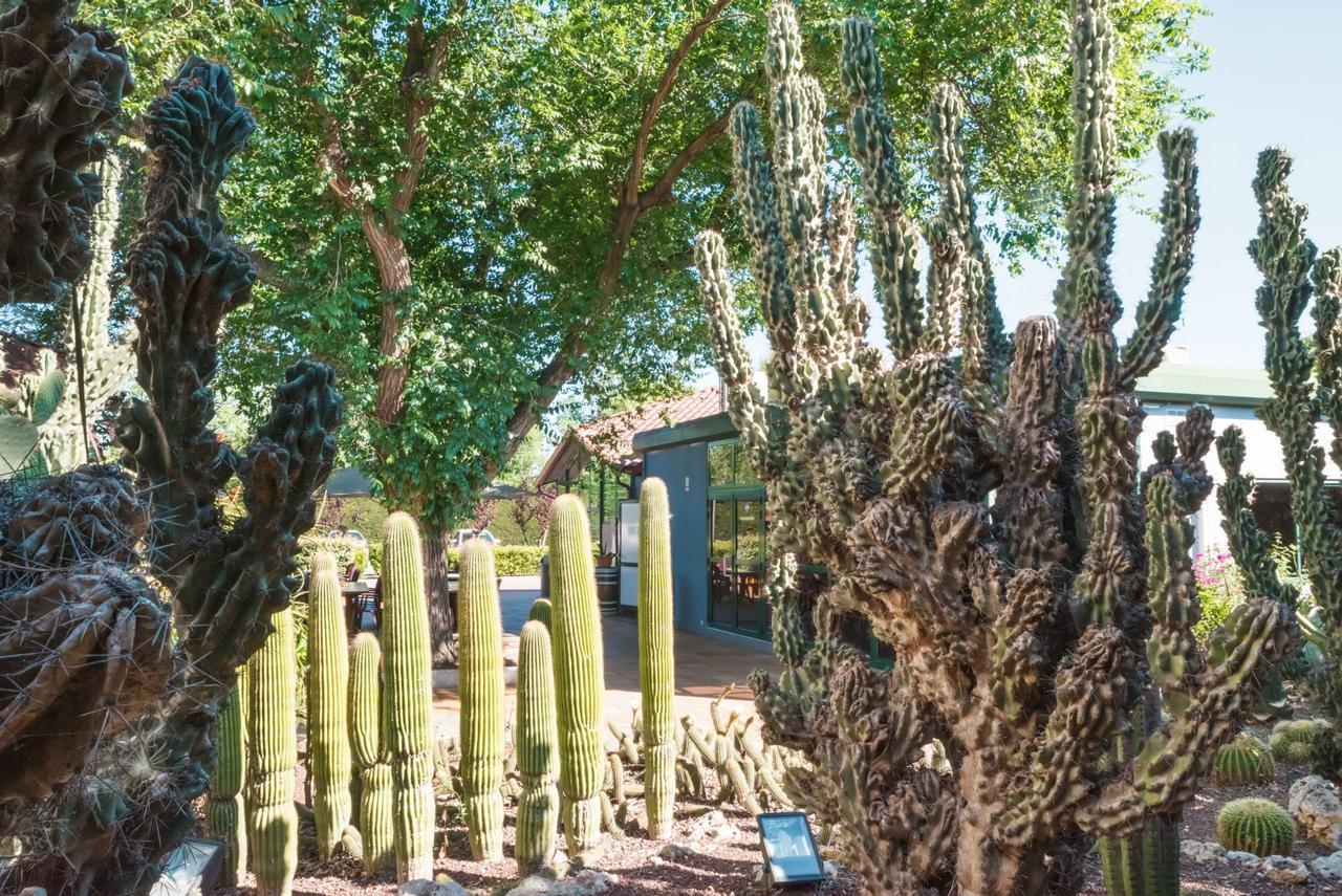 Camping La Pineda De Salou 호텔 외부 사진